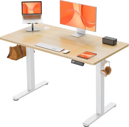 ErGear Electric Standing Desk
